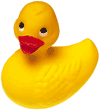 die Duck